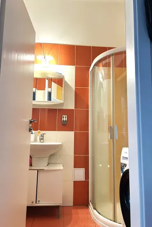 Prodej bytu 1+1, Plzeň, Tělocvičná, 47 m2