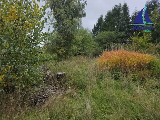 Prodej chaty, Seč, 60 m2