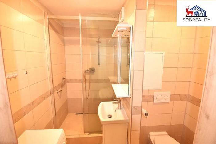 Prodej bytu 1+kk, Teplice, kpt. Jaroše, 33 m2