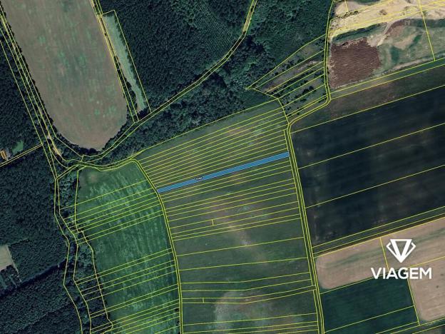 Prodej podílu pole, Přibice, 486 m2