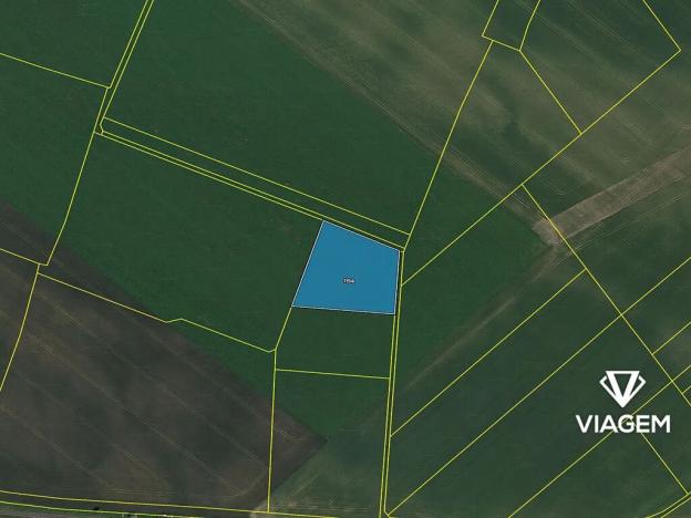 Prodej podílu pole, Zdětín, 1044 m2