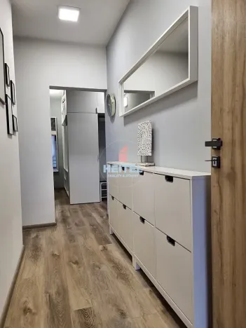 Pronájem bytu 3+1, Olomouc, Foerstrova, 74 m2