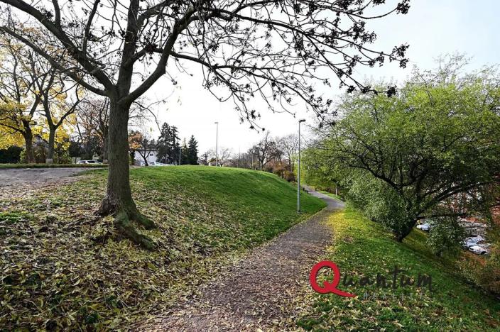 Pronájem bytu 2+1, Praha - Žižkov, Jeseniova, 44 m2