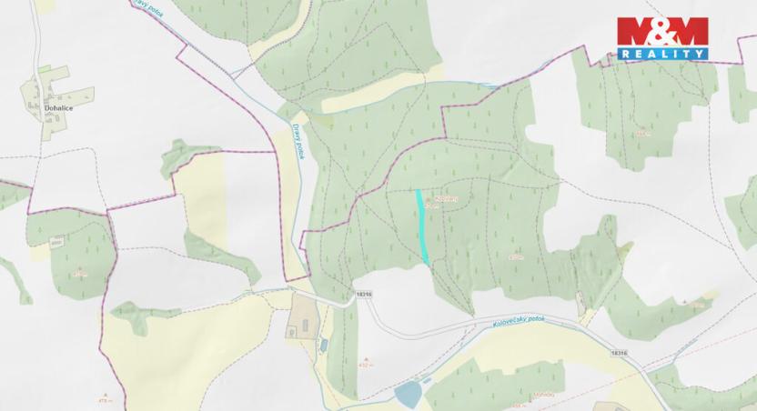 Prodej lesa, Koloveč, 13001 m2