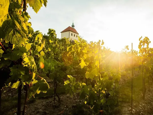 Pronájem obchodního prostoru, Praha - Troja, 315 m2