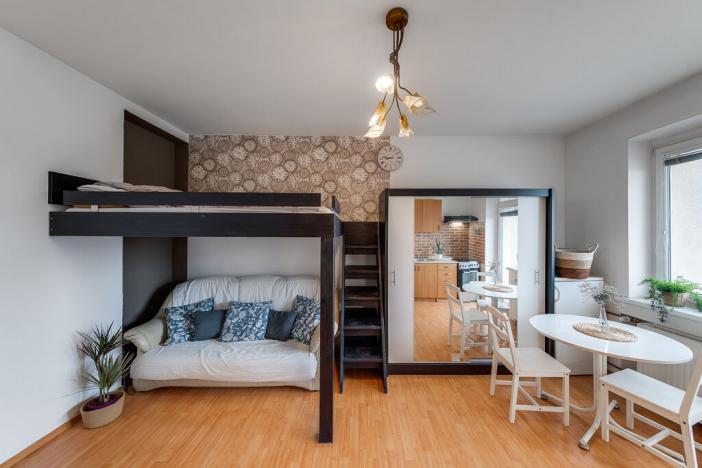 Pronájem bytu 1+kk, Ostrava - Vítkovice, Ruská, 31 m2