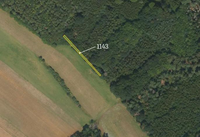 Prodej louky, Štětí, 4202 m2