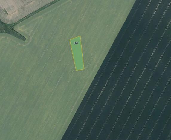 Prodej pole, Děčany, 4184 m2