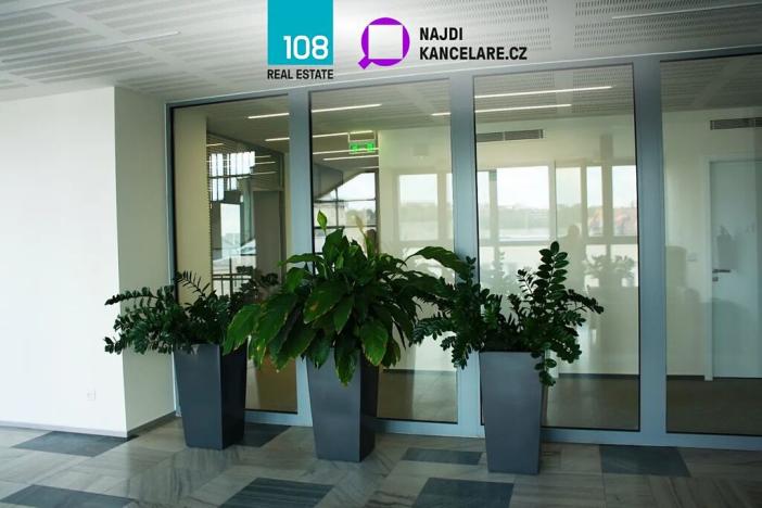 Pronájem kanceláře, Ostrava, Gregorova, 3984 m2