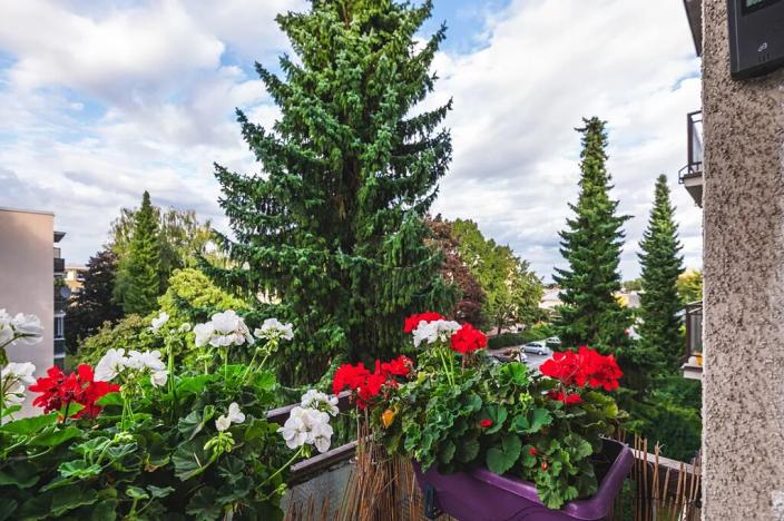 Prodej bytu 3+1, Kolín, Jateční, 68 m2