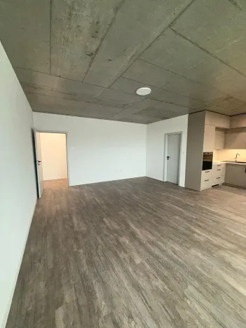 Pronájem bytu 1+kk, České Budějovice, Štítného, 44 m2
