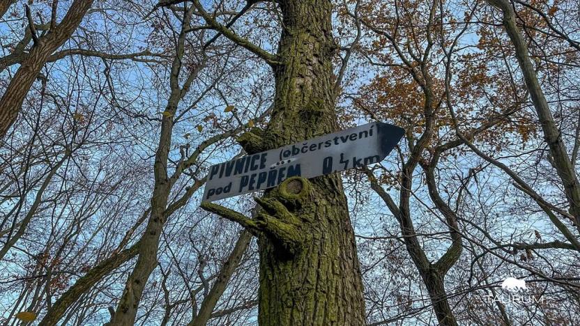 Prodej pozemku, Jílové u Prahy, 3438 m2