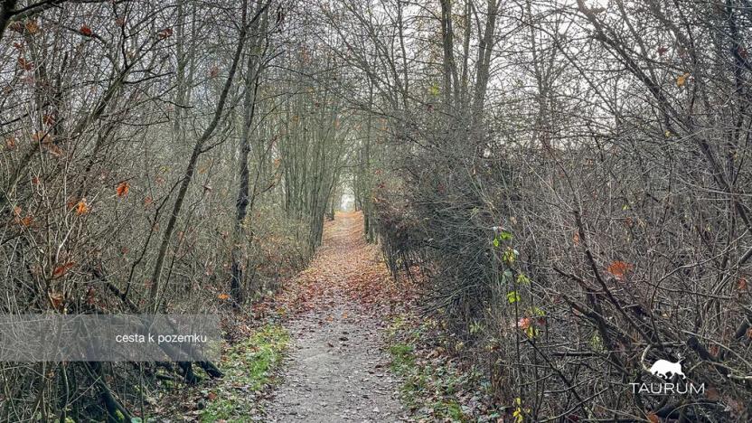 Prodej pozemku, Jílové u Prahy, 3438 m2