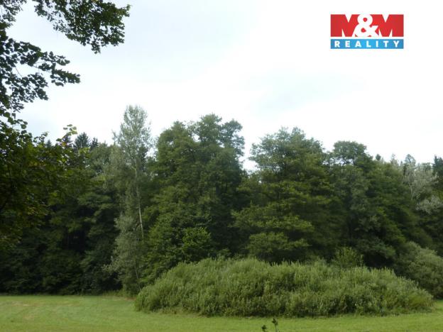 Prodej lesa, Vysoká Srbská, 26095 m2