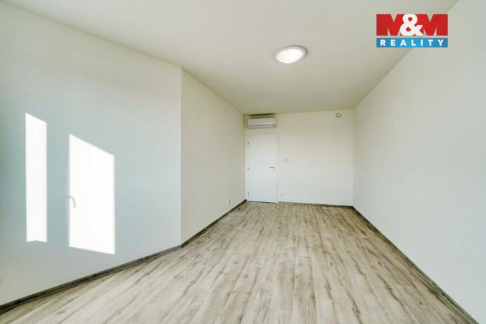 Pronájem bytu 3+kk, Plzeň - Východní Předměstí, Železniční, 96 m2