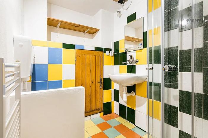 Prodej bytu 1+1, Brno, Hlinky, 24 m2