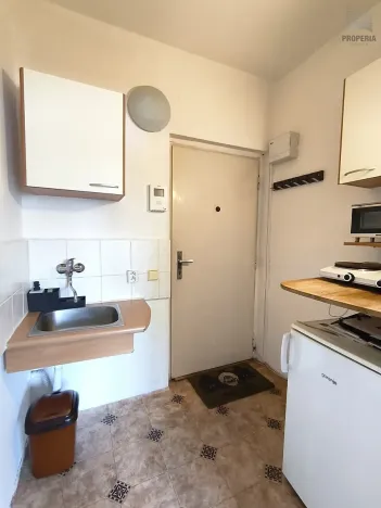 Pronájem bytu 1+kk, Brno, Veletržní, 19 m2