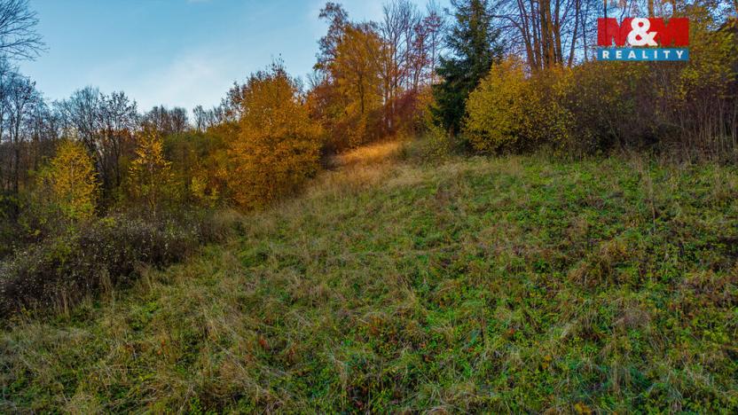 Prodej louky, Bílá - Hradčany, 6046 m2