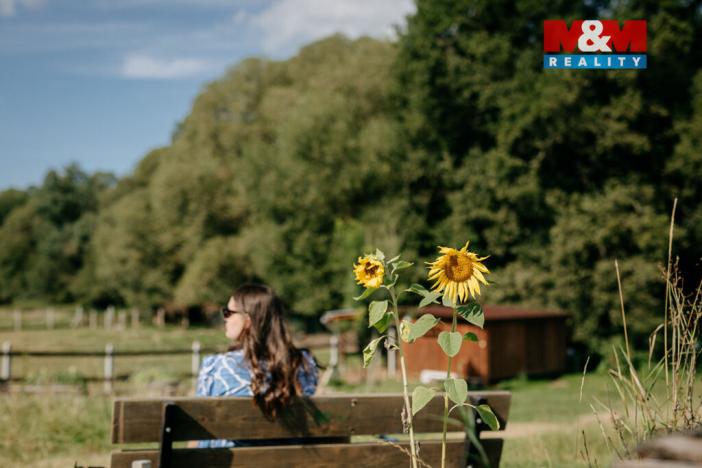 Prodej pozemku pro bydlení, Sušice, 4292 m2