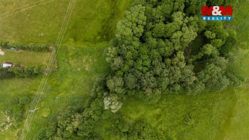 Prodej louky, Dětřichov, 4178 m2