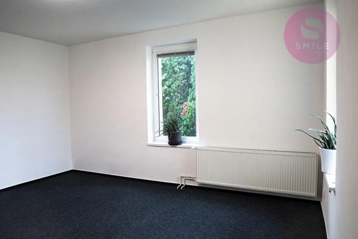 Pronájem obchodního prostoru, Ostrava, Hladnovská, 250 m2