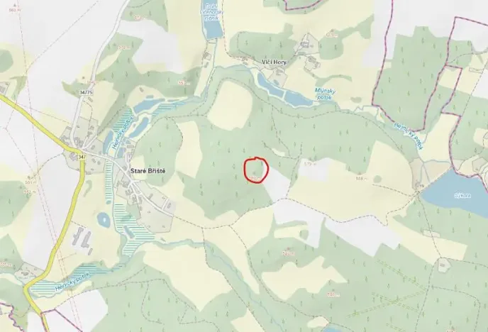 Prodej lesa, Staré Bříště, 3075 m2
