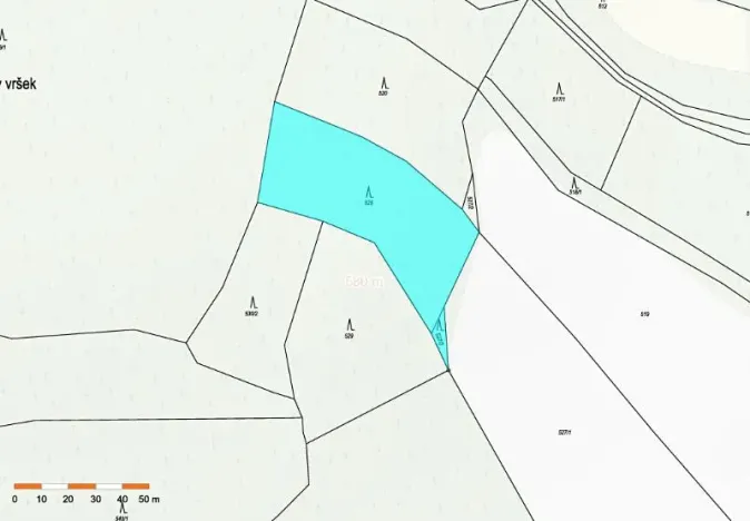 Prodej lesa, Staré Bříště, 3075 m2