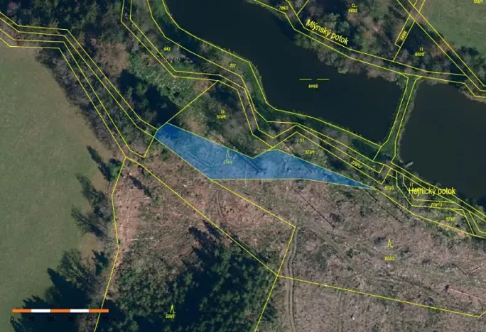 Prodej lesa, Staré Bříště, 1279 m2