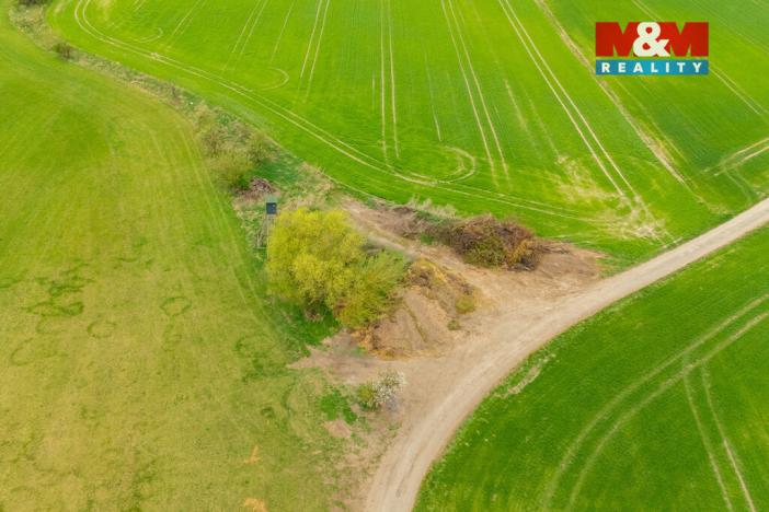 Prodej louky, Olešnice, 730 m2