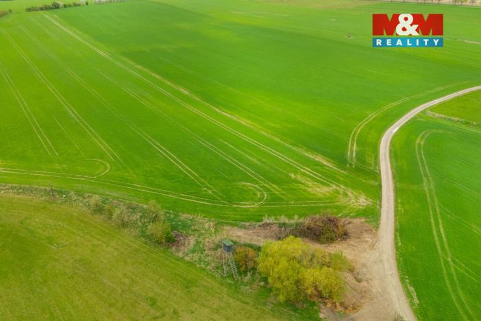 Prodej louky, Olešnice, 730 m2