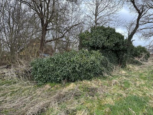 Dražba pozemku, Malonty, 135 m2