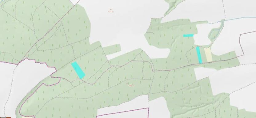 Dražba lesa, Blížejov, 16569 m2