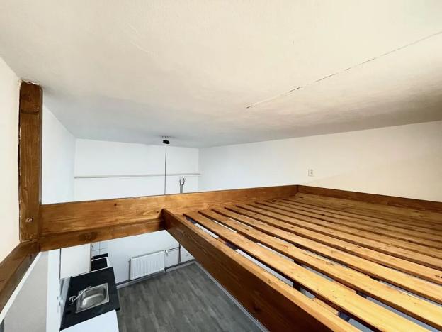 Pronájem bytu 1+kk, Liberec, Rumjancevova, 25 m2