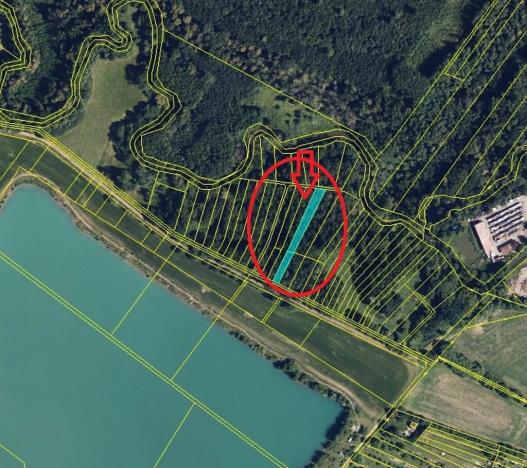 Prodej lesa, Náklo, 1440 m2