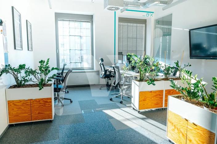 Pronájem kanceláře, Praha - Holešovice, Jankovcova, 337 m2