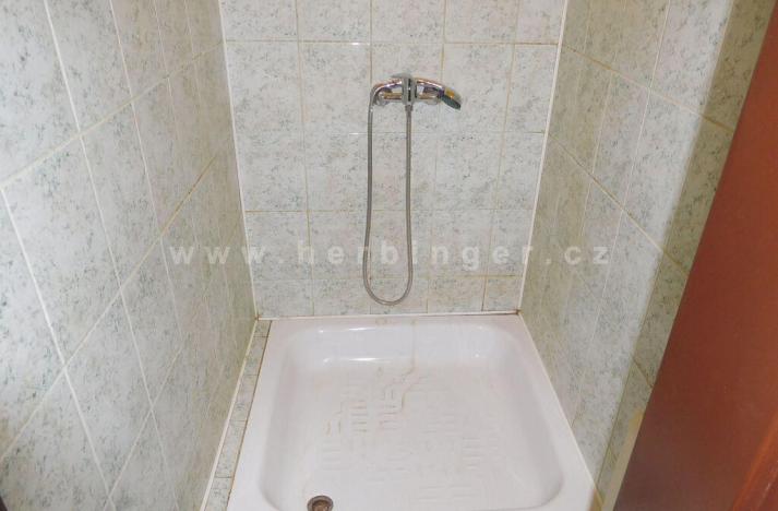 Prodej rodinného domu, Ostrava - Vítkovice, Mírová, 1505 m2