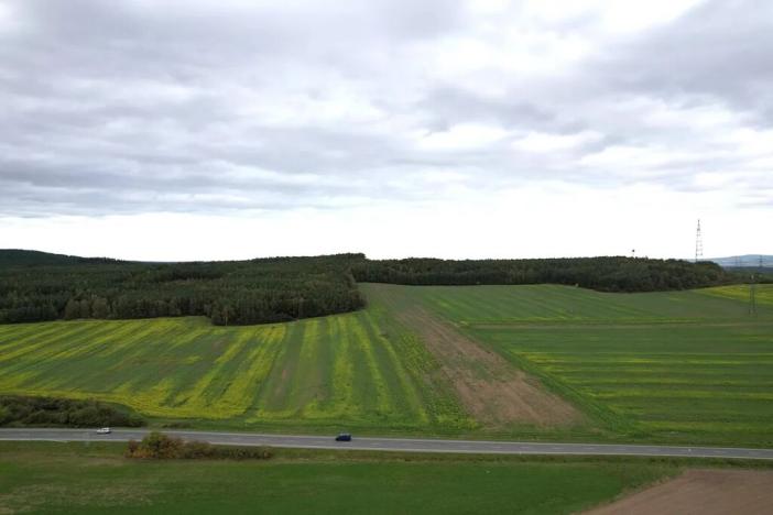 Prodej komerčního pozemku, Chotíkov, 7341 m2