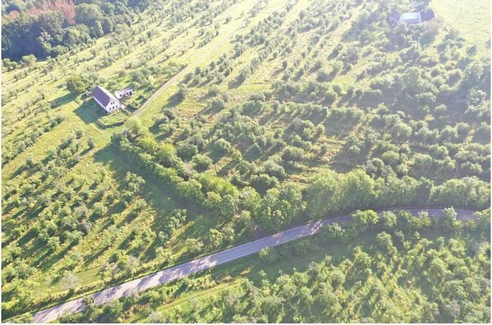 Prodej sadu/vinice, Troskovice, 8502 m2