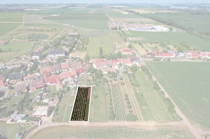 Prodej pozemku pro bydlení, Horní Věstonice, Jabloňová, 940 m2
