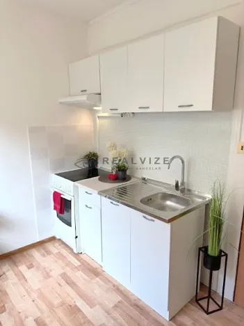 Pronájem bytu 1+1, České Budějovice, J. Bendy, 31 m2