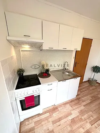 Pronájem bytu 1+1, České Budějovice, J. Bendy, 31 m2