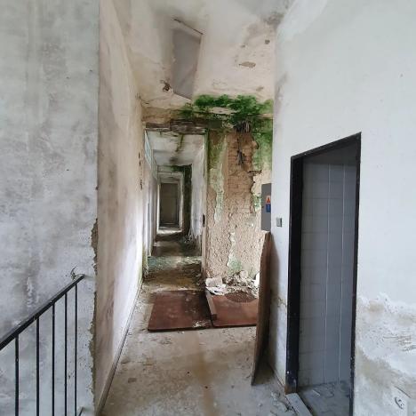 Prodej komerčního pozemku, Tišnov, Červený Mlýn, 6493 m2