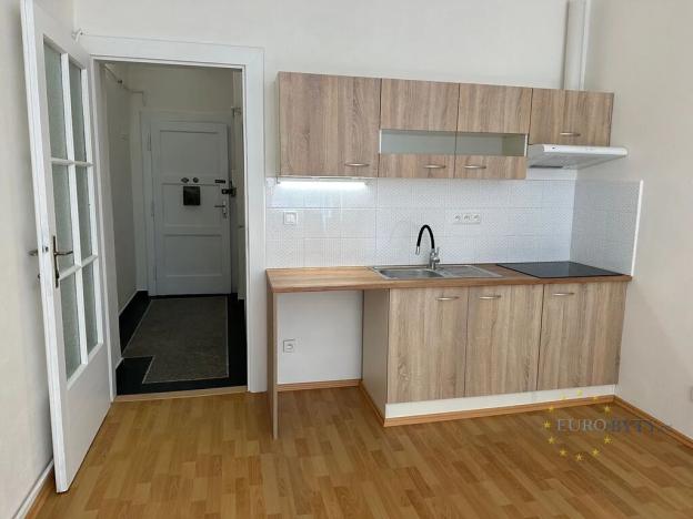 Pronájem bytu 1+kk, Praha - Nusle, V Horkách, 32 m2