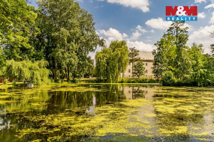 Pronájem bytu 1+kk, Vlčice, 50 m2