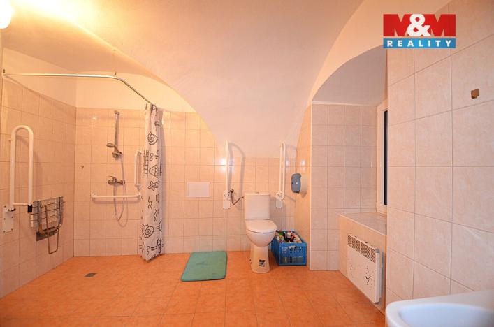 Pronájem bytu 1+kk, Vlčice, 50 m2