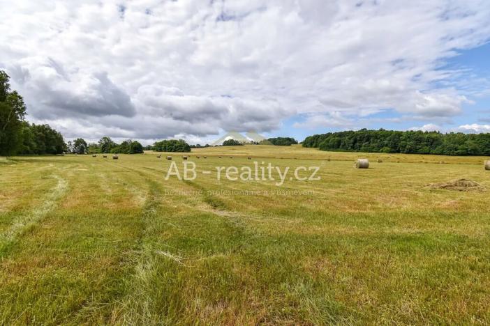 Prodej louky, Úštěk, 131865 m2