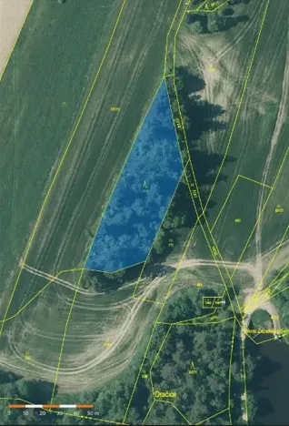 Prodej lesa, Nová Bystřice, 3201 m2