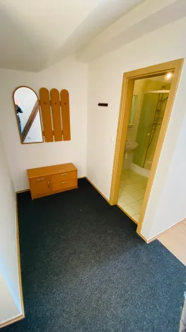 Pronájem bytu 2+kk, Brno, Ptašínského, 53 m2