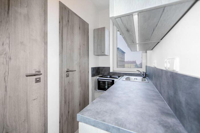 Pronájem bytu 1+kk, Plzeň - Východní Předměstí, Slovanská alej, 22 m2