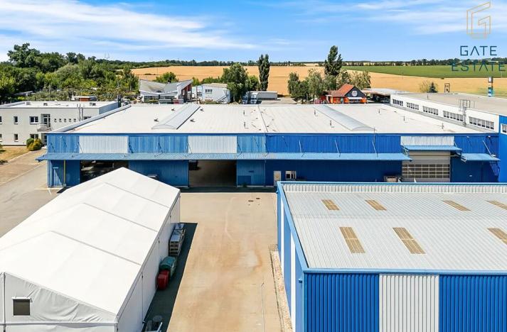 Pronájem výrobních prostor, Hrušky, Na aleji, 6941 m2